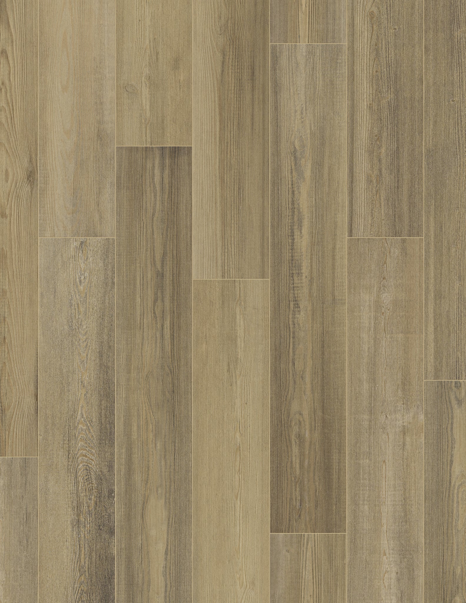 Coretec Advanced Plus – Privet Pine 7" - GreenFlooringSupply.com