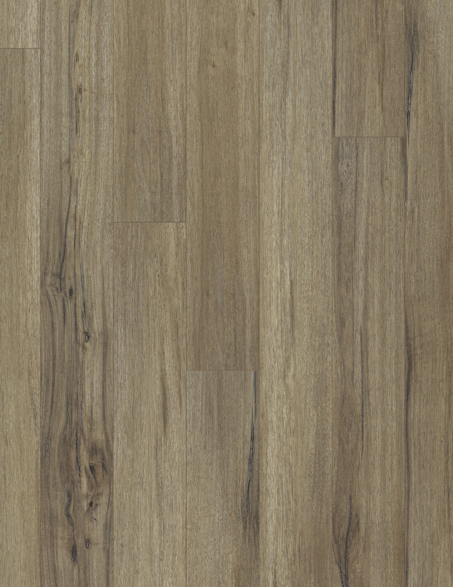 Coretec Plus – Baywood Oak 5x48" Plank - GreenFlooringSupply.com
