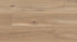 Coretec Plus Premium Integraged Bevel with Softstep – Blonde Oak 9" - GreenFlooringSupply.com