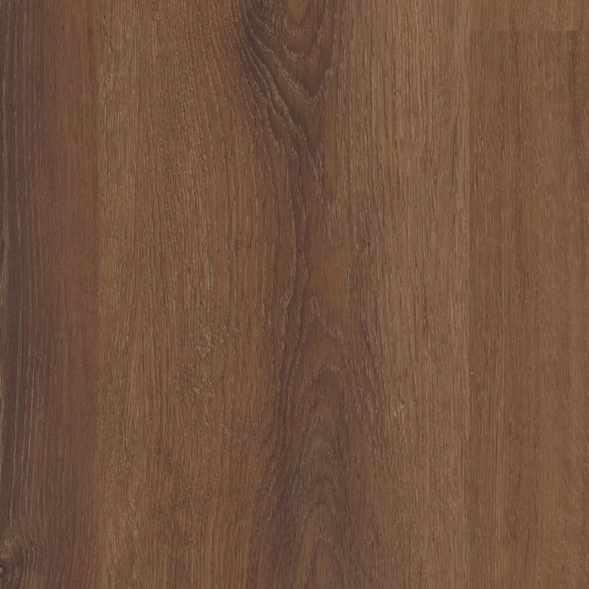 Coretec Plus Grande Aleta Oak 9" x 82" - GreenFlooringSupply.com