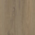 Coretec Plus Grande Ellidy Oak 9" x 82" - GreenFlooringSupply.com