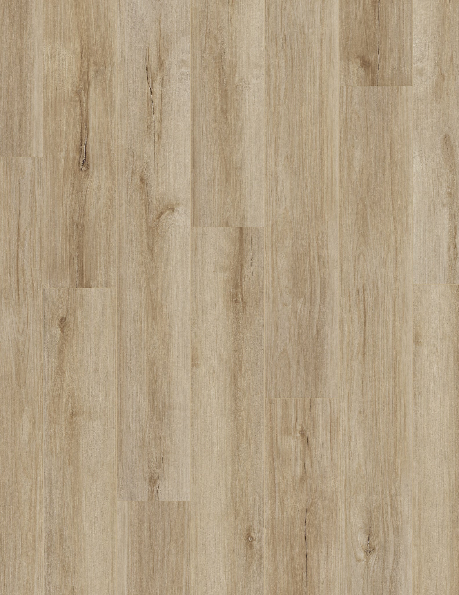 Coretec Pro Plus Enhanced Lucent Oak 7"x48" - GreenFlooringSupply.com