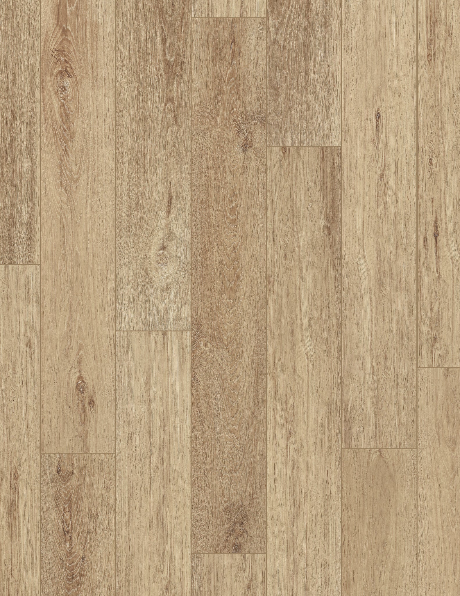 Coretec Pro Plus Enhanced Lyric Oak 7"x48" - GreenFlooringSupply.com