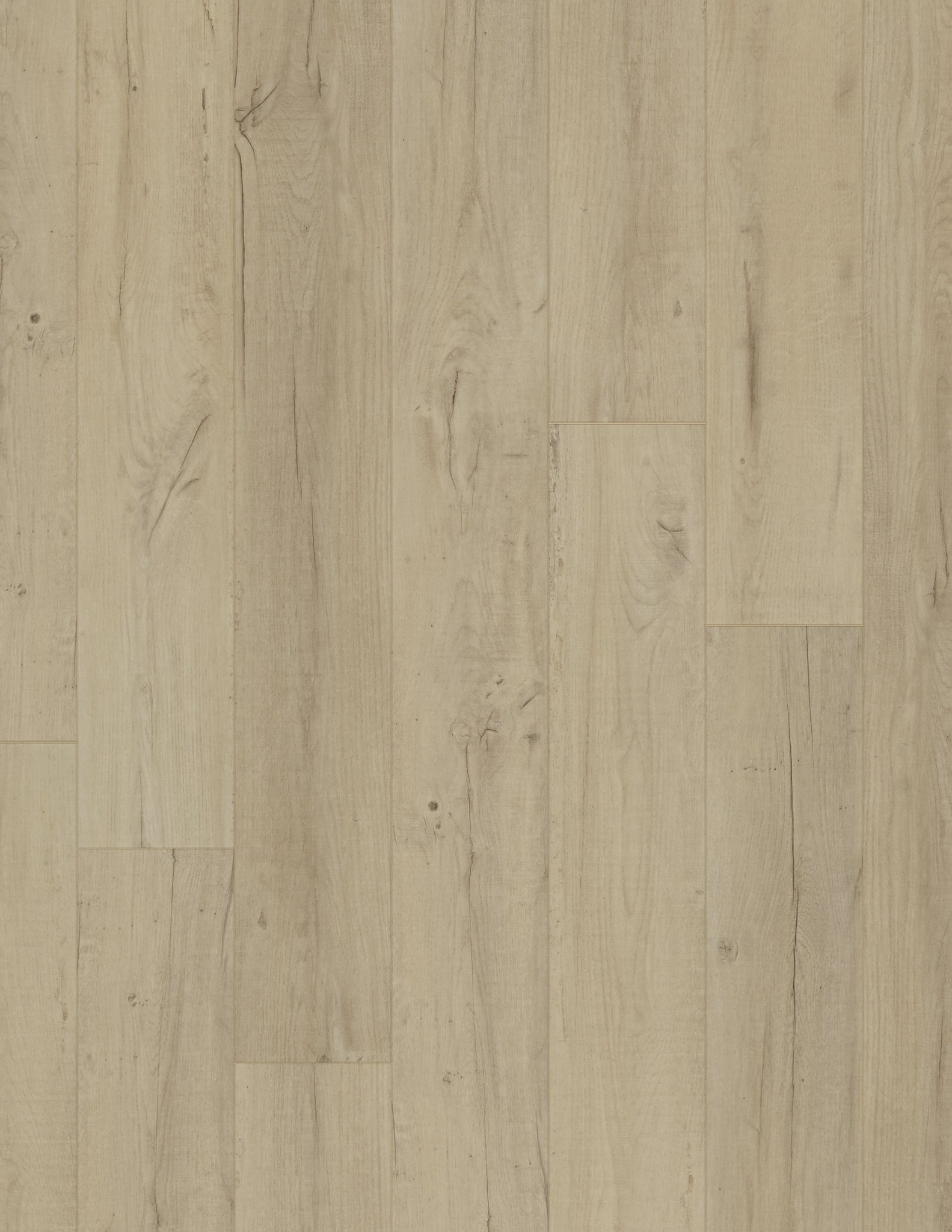 Coretec Plus Premium – Noble Oak 7" - GreenFlooringSupply.com