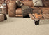 Unique Broadloom Wool Carpet – Laredo – 13 ft 2 in wide - GreenFlooringSupply.com