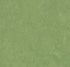 Marmoleum Cinch Loc Seal  Square - Leaf 12" x 12" - GreenFlooringSupply.com