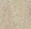 Marmoleum Cinch Loc Seal Panel - Agate 12" x 36" - GreenFlooringSupply.com