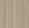 Marmoleum Cinch Loc Seal Panel - Bleached Gold 12" x 36" - GreenFlooringSupply.com
