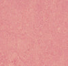 Marmoleum Cinch Loc Seal  Square - Honey Suckle 12" x 12" - GreenFlooringSupply.com