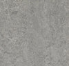 Marmoleum Cinch Loc Seal  Square - Grey 12" x 12" - GreenFlooringSupply.com