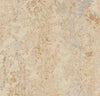 Marmoleum Click Square - Caribbean 12" x 12" - GreenFlooringSupply.com