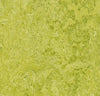 Marmoleum Click Square - Chartreuse 12" x 12" - GreenFlooringSupply.com