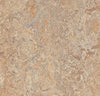 Marmoleum Click Panel - Donkey Island 12" x 36" - GreenFlooringSupply.com