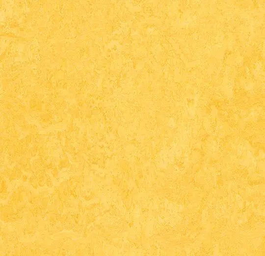 Marmoleum Click Square - Lemon Zest 12" x 12" - GreenFlooringSupply.com
