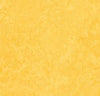Marmoleum Click Square - Lemon Zest 12" x 12" - GreenFlooringSupply.com