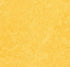 Marmoleum Click Square - Lemon Zest 12" x 12" - GreenFlooringSupply.com