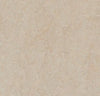Marmoleum Click Panel - Silver Birch 12" x 36" - GreenFlooringSupply.com
