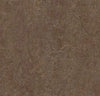 Marmoleum Click Square - Walnut 12" x 12" - GreenFlooringSupply.com