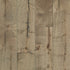 Shaw Repel Reflections Maple Engineered Hardwood Flooring - Vista  7" - GreenFlooringSupply.com
