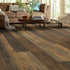 Shaw Floorte Classic Titan HD Plus Platinum - Autumn Barnboard 9" - GreenFlooringSupply.com