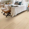 Shaw Floorte Elite Prodigy HDR MXL Plus - Antique 9" - GreenFlooringSupply.com