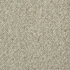 Stanton Broadloom Wool Carpet Everglades – 13 ft 2 in wide - GreenFlooringSupply.com