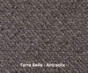 Unique Broadloom Wool Carpet – Terra Bella – 13 ft 2 in wide - GreenFlooringSupply.com