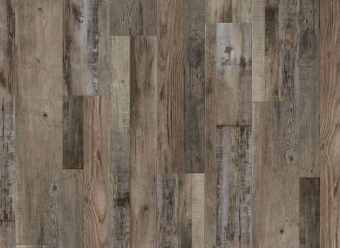 Coretec Plus Enhanced Aden Oak  7"x48" Plank - GreenFlooringSupply.com